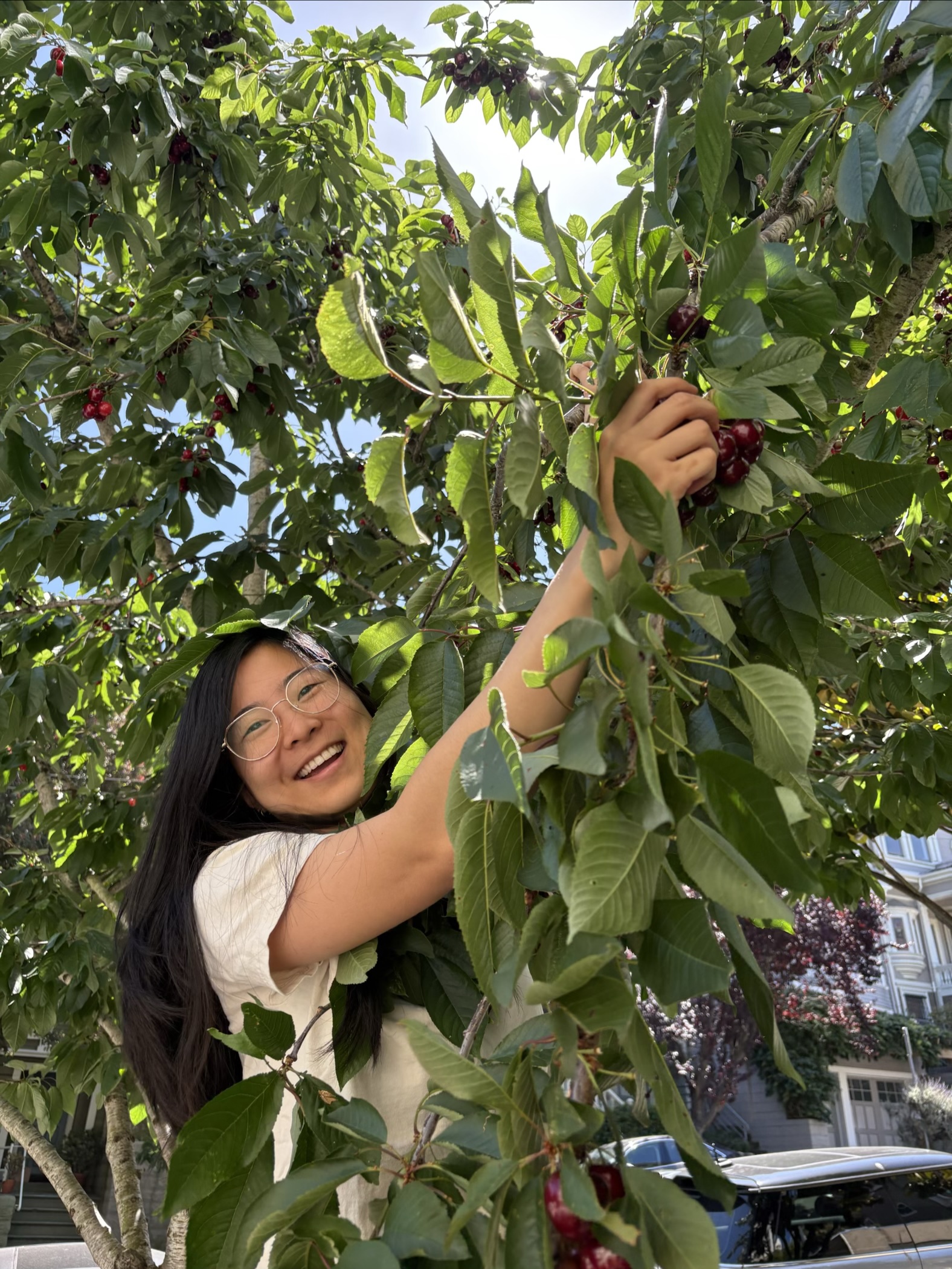 finding cherries in the middle of San Francisco!